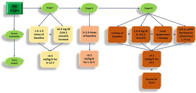 The role of non-protein-coding RNAs in ischemic acute kidney injury